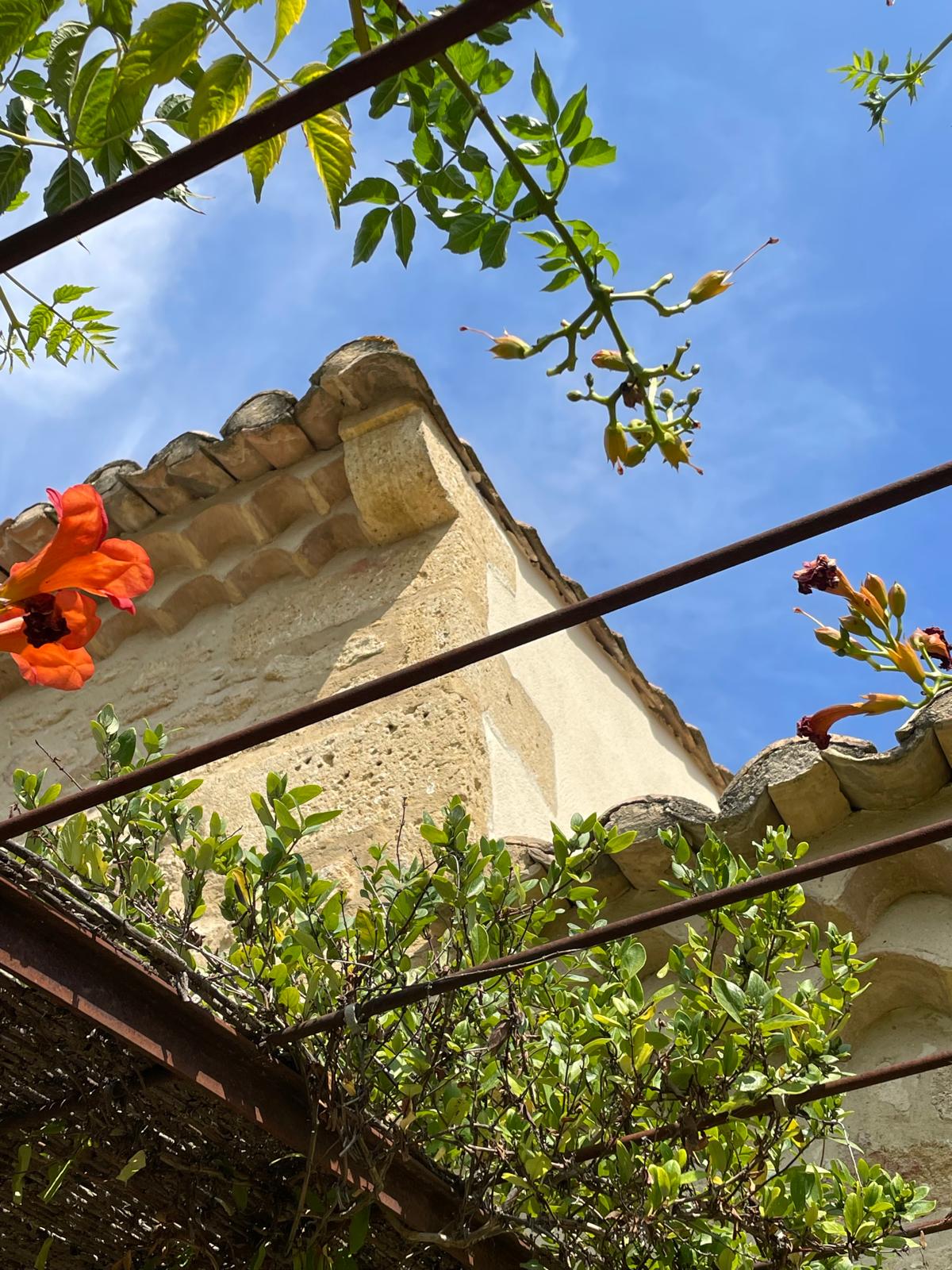 Photo de Maison Insula
